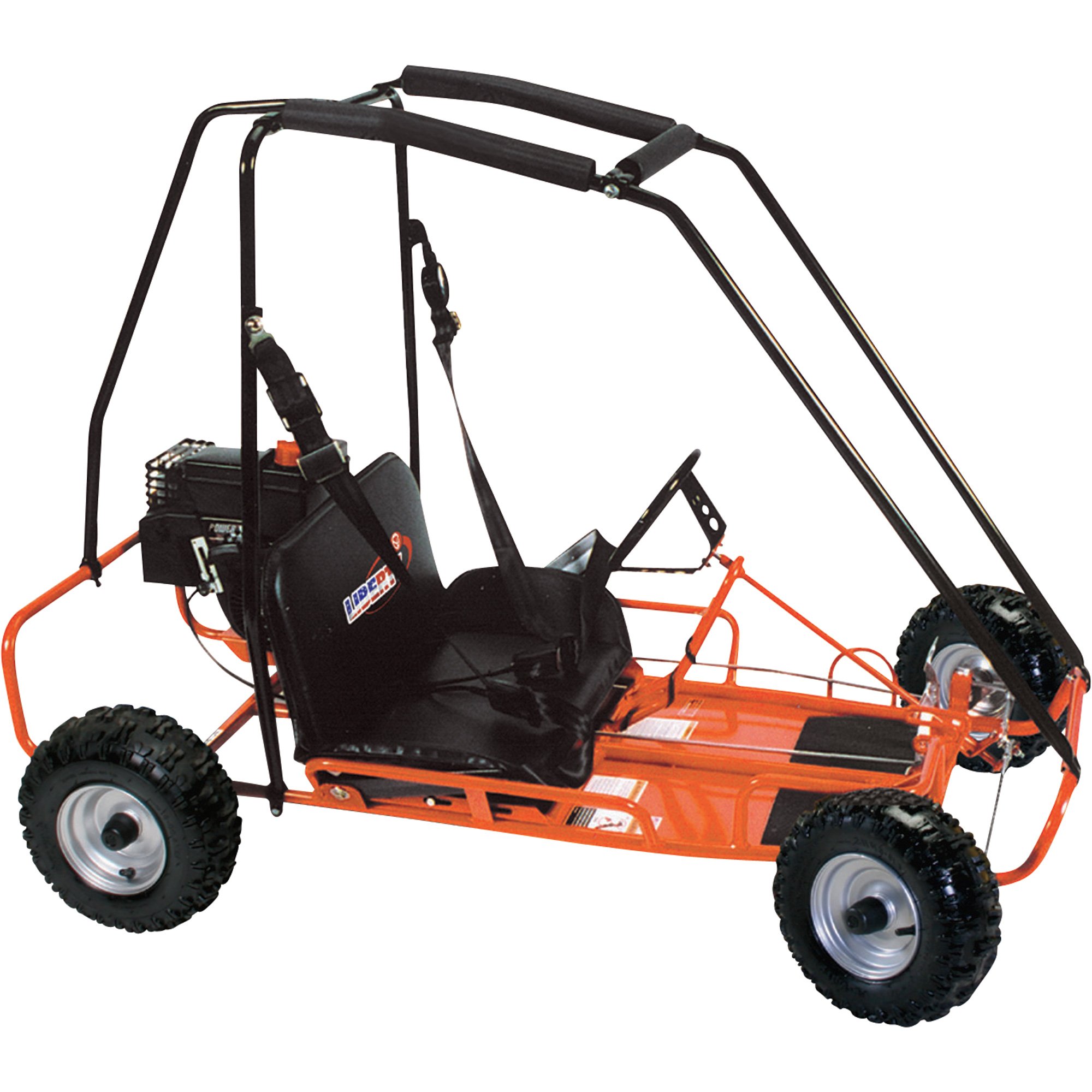 A.C.E. Sports Liberty Go-Kart — 196cc, Model# 2585-Lbty